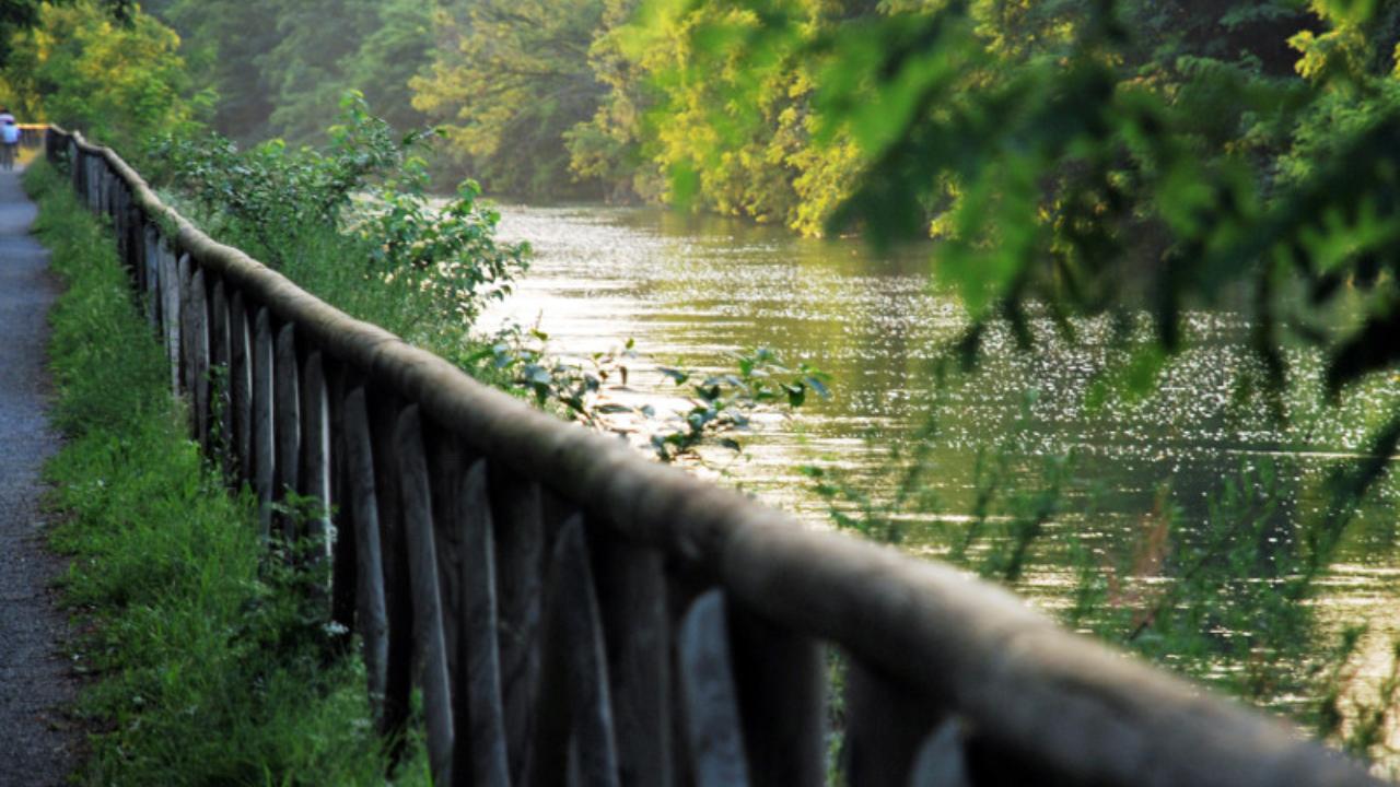 7723_Parco_Roccolo_canale
