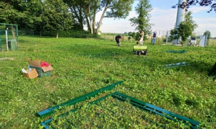 L'inaugurazione della nuova Area agility dog