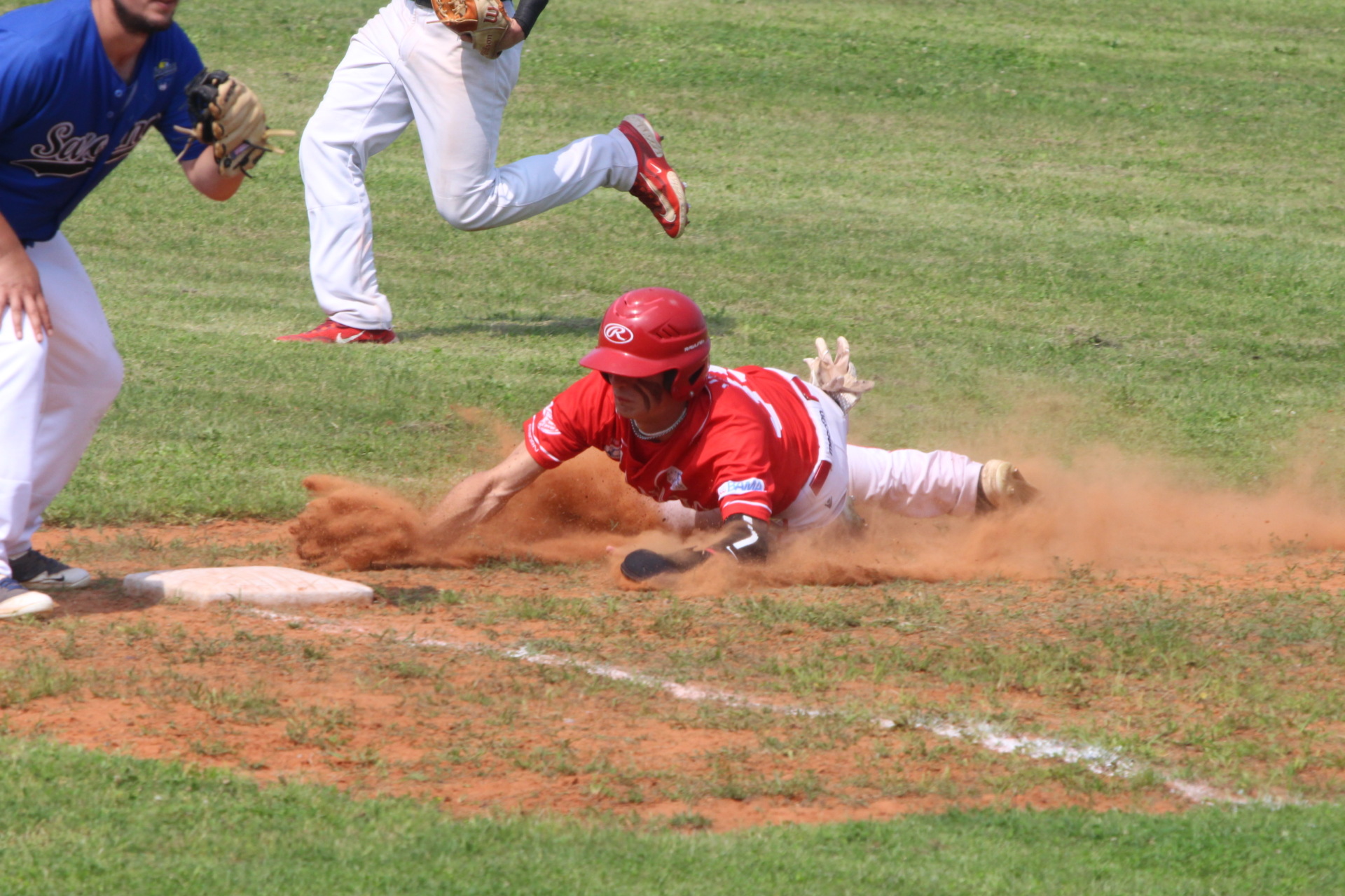 legnano baseball