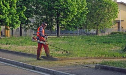 «Scusate il ritardo, adesso iniziamo la manutenzione delle aree verdi»