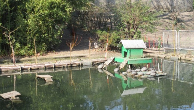 Emergenza ratti al parco della Repubblica