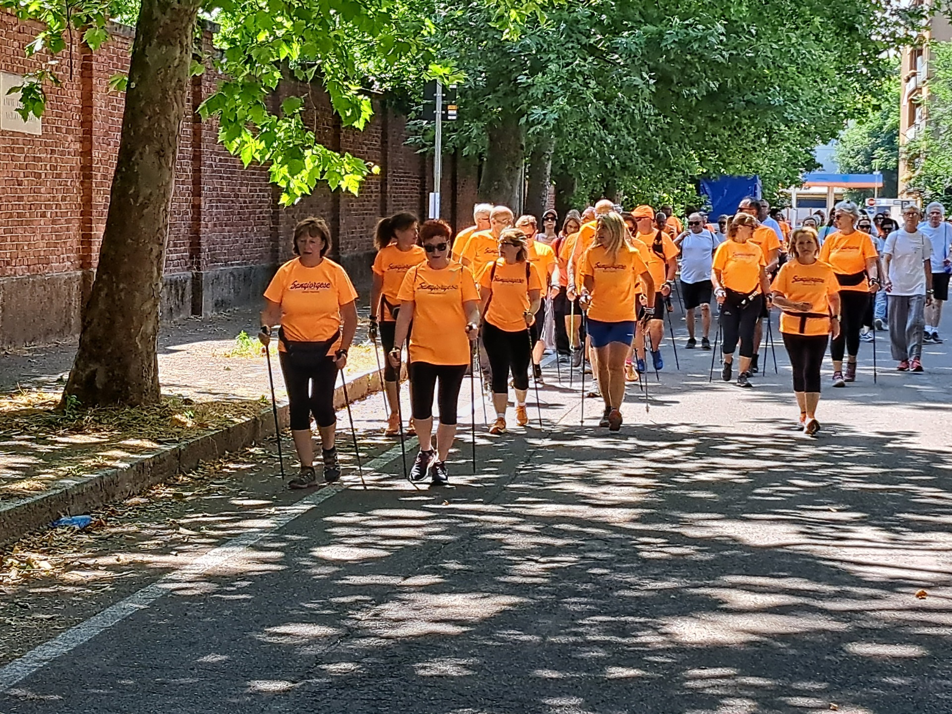 legnano-6000 passi di salute11