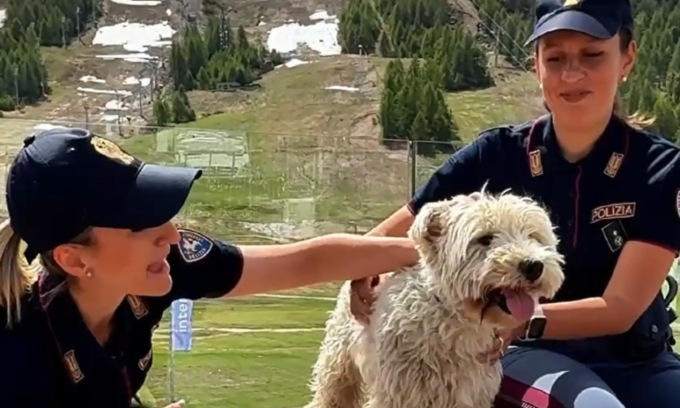#SeNonTiPortoNonParto: campagna della Polizia contro l’abbandono degli animali