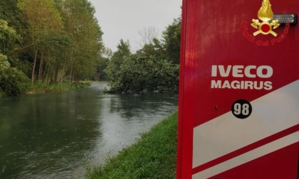 Donna morta dopo la caduta di un albero: il paese è sotto shock