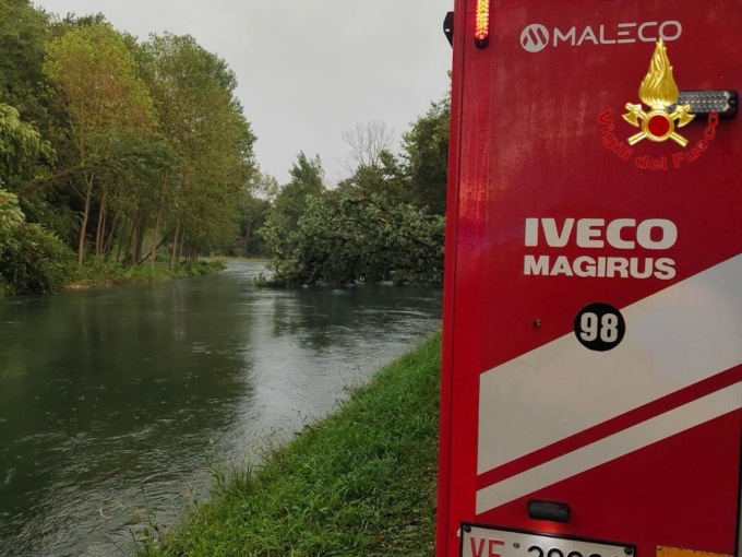 Donna morta dopo la caduta di un albero: il paese è sotto shock