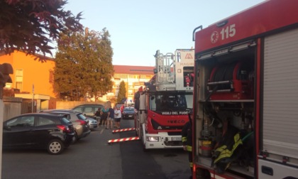 Paura in un giardino condominiale: albero prende fuoco, nessun ferito
