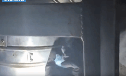 Nascondeva la cocaina in cantina: arrestato 26enne