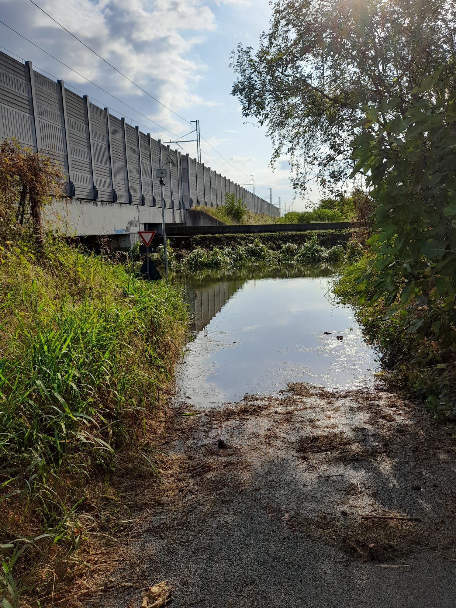 Ossona vandalismo balla di fieno nel canale 3