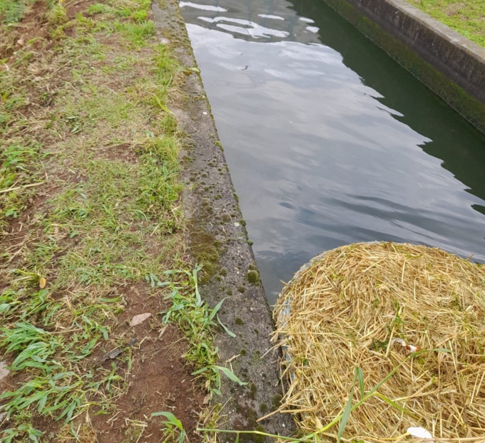 Gettata una balla di fieno nel canale, sottopasso e strada allagati