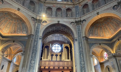 Cosa fare a Milano e provincia nel weekend: gli eventi di sabato 15 e domenica 16 novembre