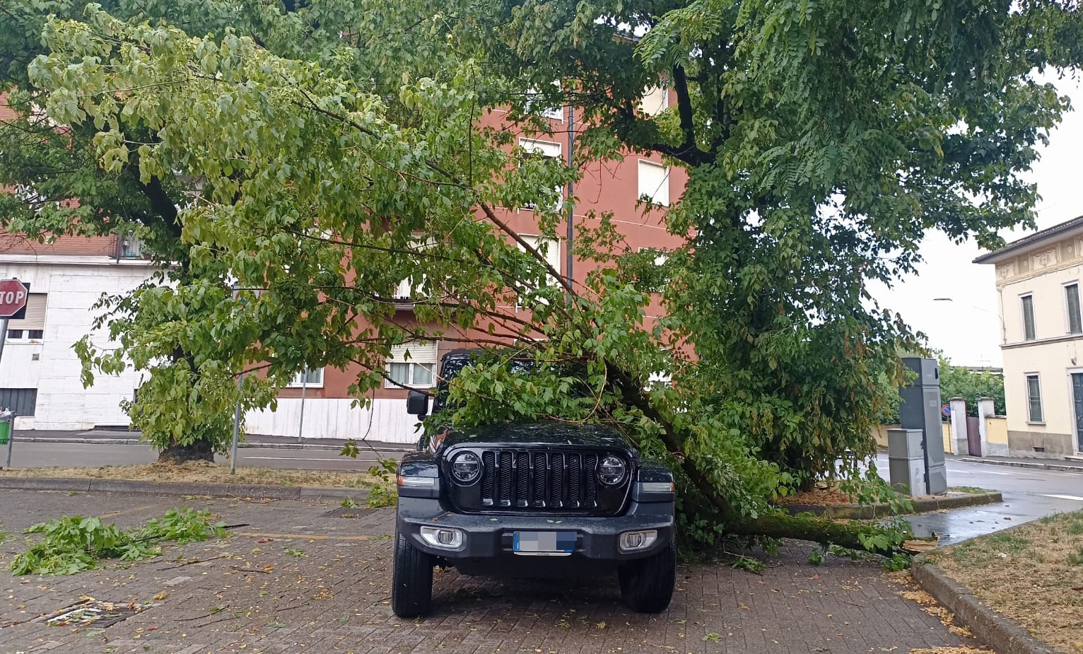 san vittore albero cade su auto parcheggiata via vittorio veneto