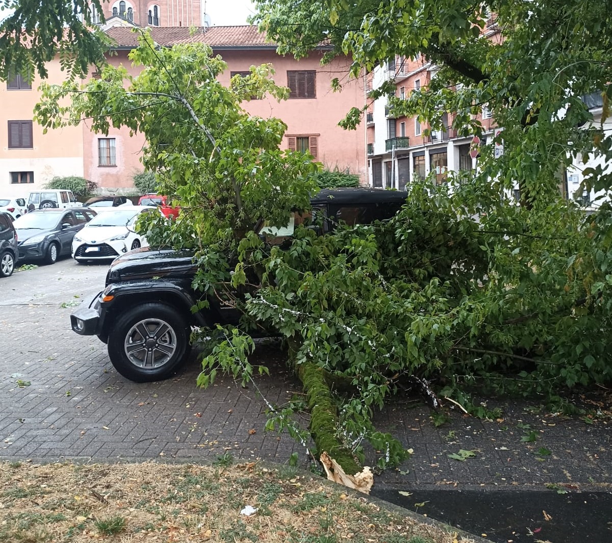 san vittore albero su auto parcheggio via vittorio veneto