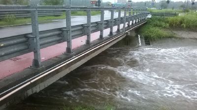 Scivola nel canale per recuperare il cane, muore a 57 anni