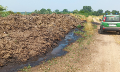 Inquinamento, Forestali multano sei aziende agricole per depositi di letame irregolari