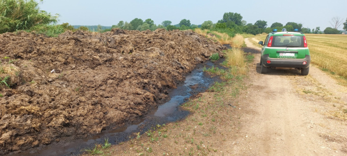 Inquinamento, Forestali multano sei aziende agricole per depositi di letame irregolari