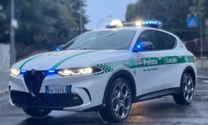 Investe e uccide un cane, scappa in auto: preso dalla Polizia Locale