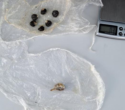 Fermato durante un controllo, in auto 12, 5 grammi di hashish e 2 grammi di ketamina