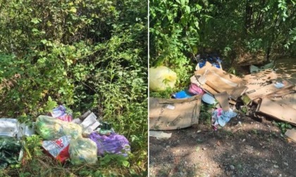 Abbandona rifiuti nei boschi: rintracciato e multato. E dovrà ripulire