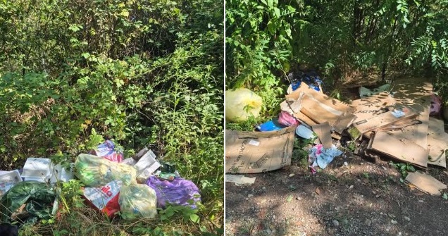 Abbandona rifiuti nei boschi: rintracciato e multato. E dovrà ripulire