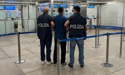 Topi d'appartamento: catturato in Spagna il componente di una banda