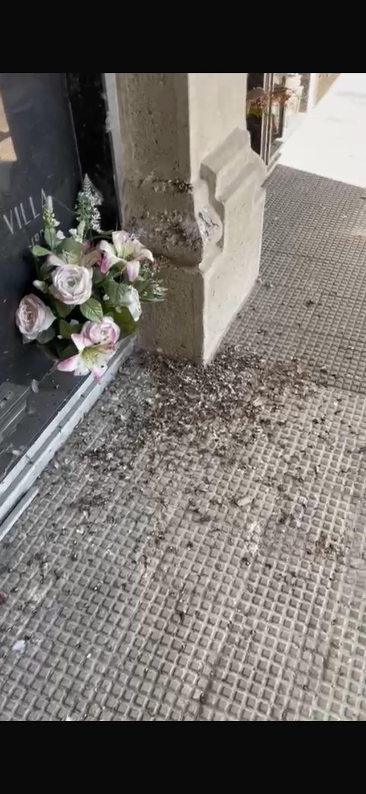 cacche piccioni cimitero
