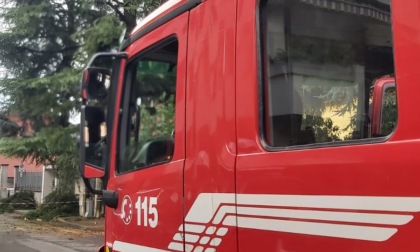 Albero colpito da un fulmine finisce nel giardino della villetta