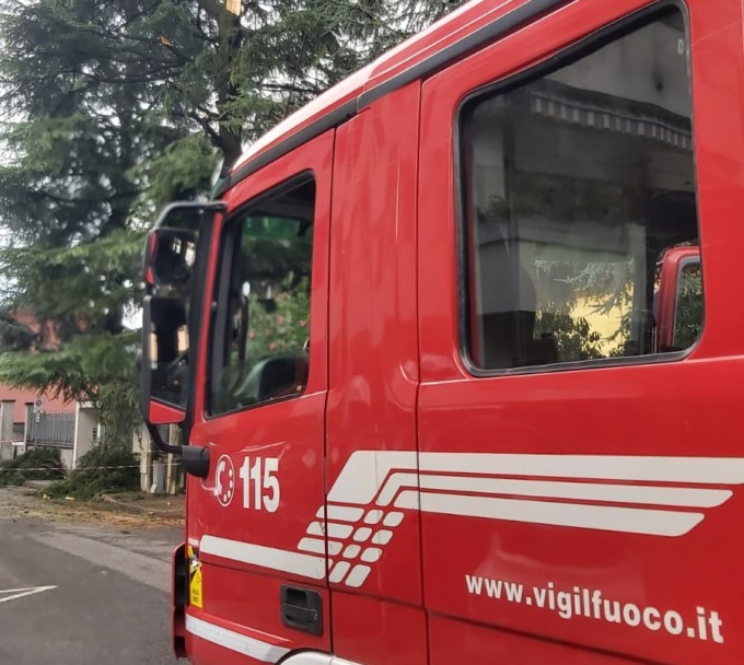 Albero colpito da un fulmine finisce nel giardino della villetta