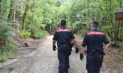 Quattro arresti dei carabinieri di Rho