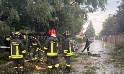 Maltempo nel pomeriggio: alberi caduti e sottopassi allagati