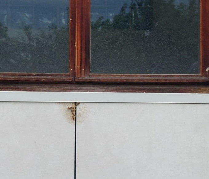 Covi di vespe nel cappotto termico di casa