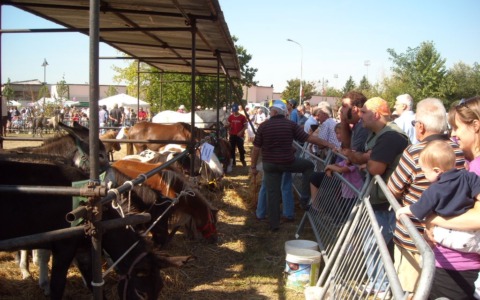 Cornaredo, ecco la Festa. Lunedì la Fiera Agrozootecnica