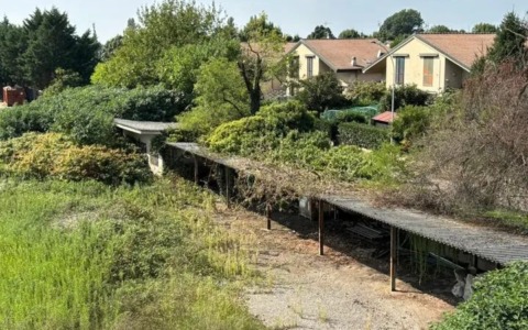 Topi e bisce nell’area dismessa