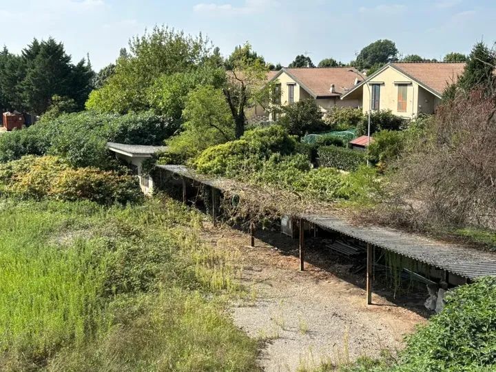 Topi e bisce nell’area dismessa