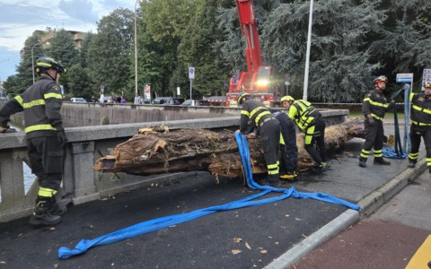I Vigili del fuoco recuperano un tronco dal fiume Olona