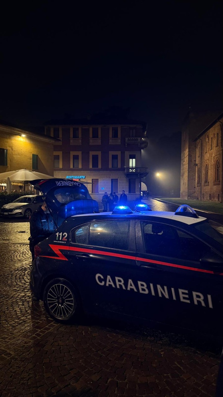 Infastidisce i clienti e aggredisce i Carabinieri: arrestato