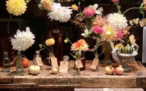 La città celebra “La bellezza che salverà il mondo” con il concorso vetrine