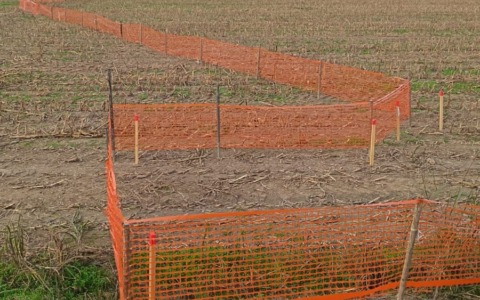 La storia  di Paolo: asfalto al posto del  grano