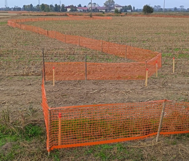 Al via i lavori della Tratta C della Vigevano-Malpensa