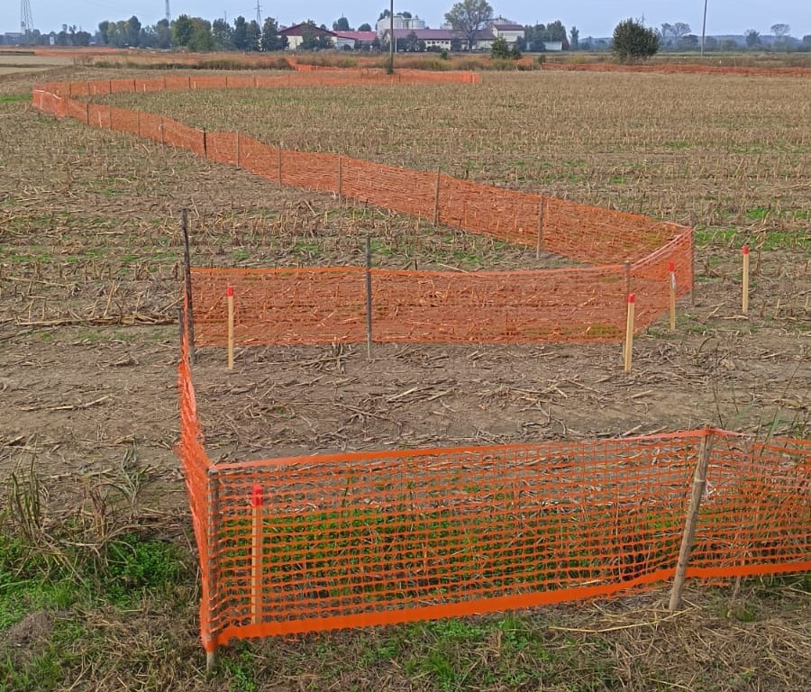 La storia  di Paolo: asfalto al posto del  grano