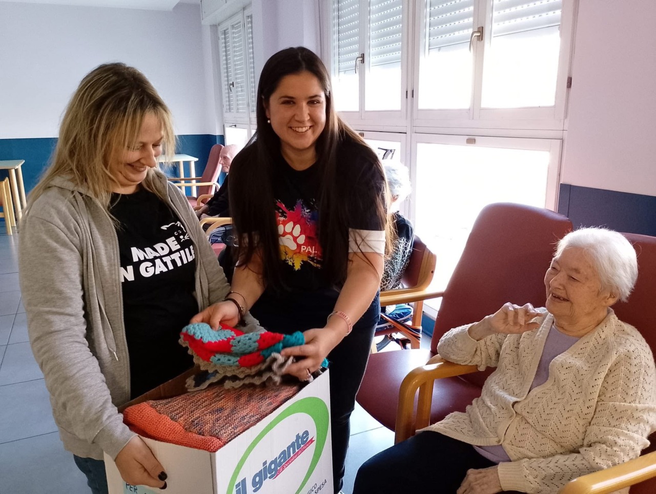I nonni cuciono piccole coperte per i gatti randagi