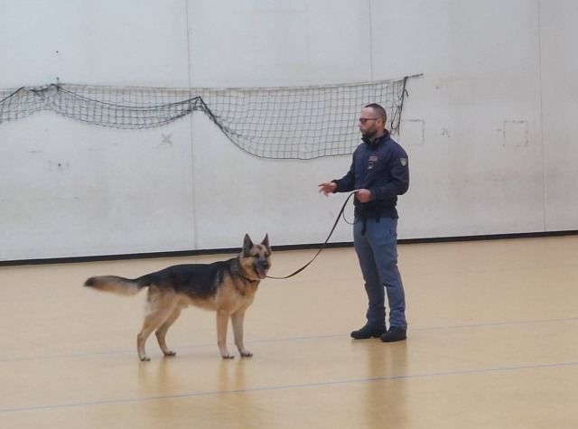 Dimostrazione a scuola con unità cinofila