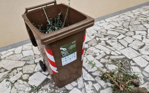 Raccolta del verde a singhiozzo