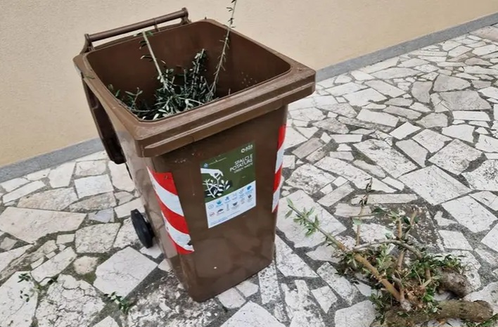 Raccolta del verde a singhiozzo