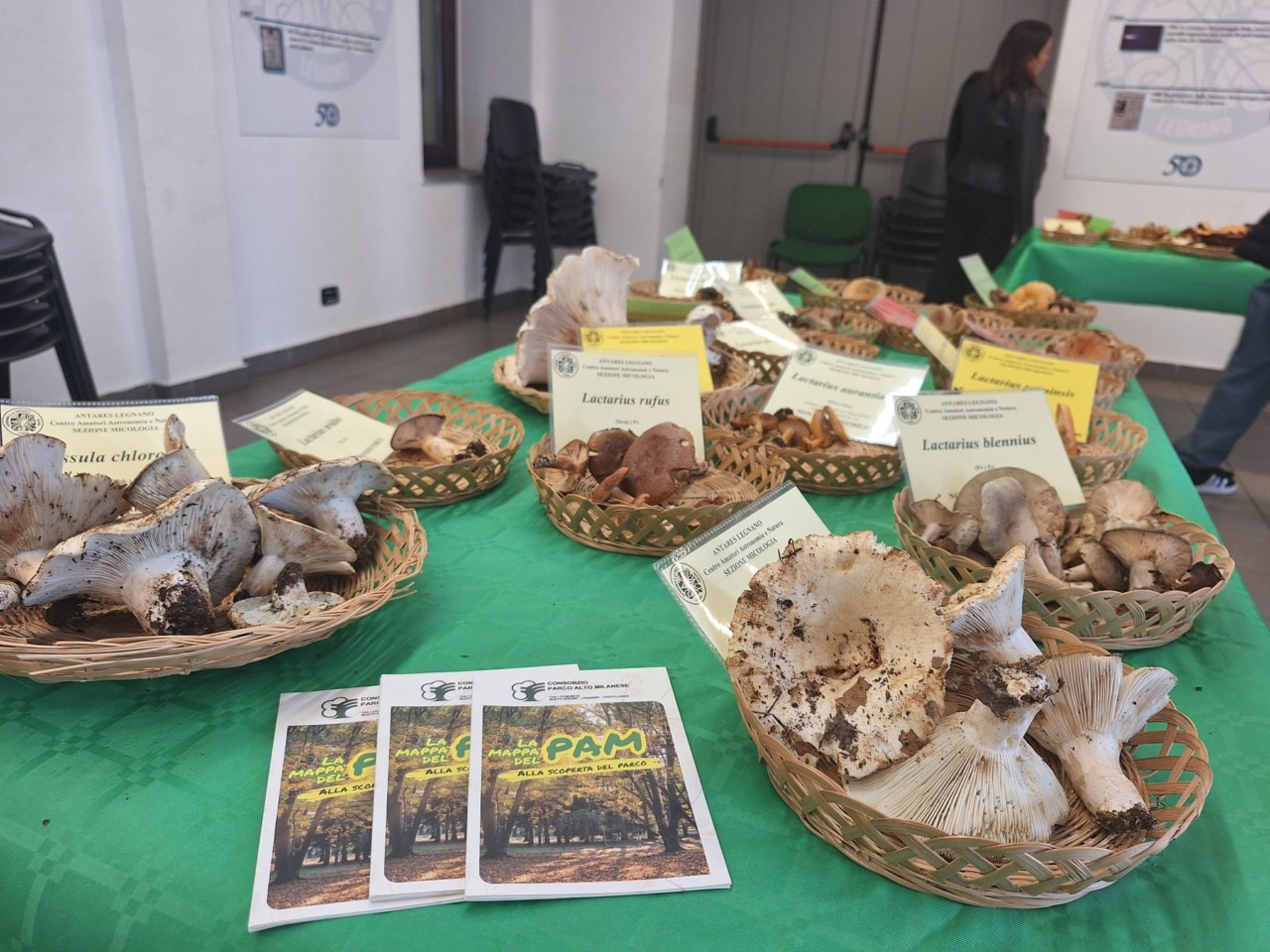 Il Parco Alto Milanese si riempie di funghi... con la Mostra micologica