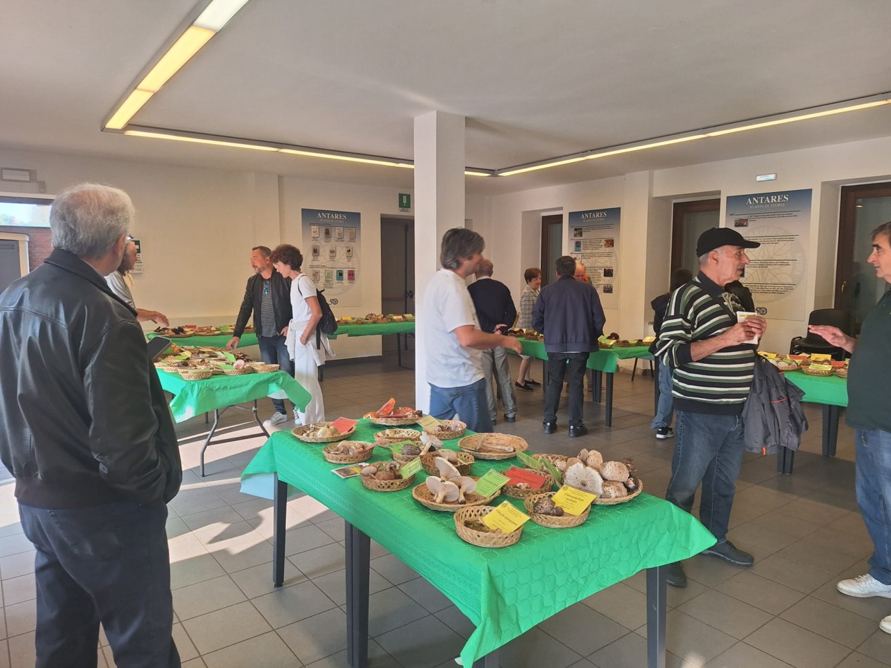 Il Parco Alto Milanese si riempie di funghi... con la Mostra micologica