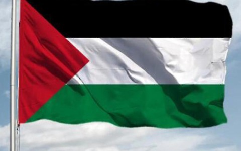 Presidio in piazza per la Palestina
