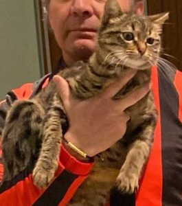«Il sindaco dia la possibilità ai possessori di animali di essere sepolti con i loro amici»