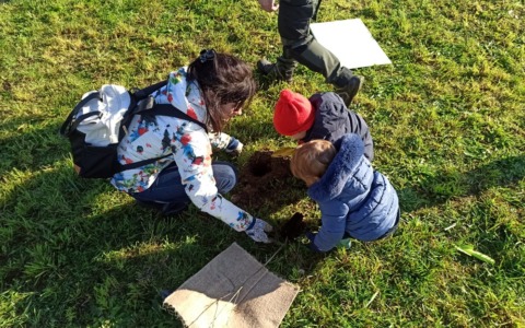 In arrivo 300 nuove piante per creare un nuovo bosco a Cusago