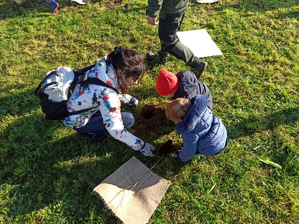 In arrivo 300 nuove piante per creare un nuovo bosco a Cusago