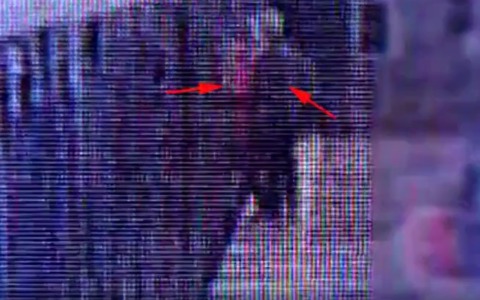 Ruba un portafogli in metropolitana: arrestato un 42enne